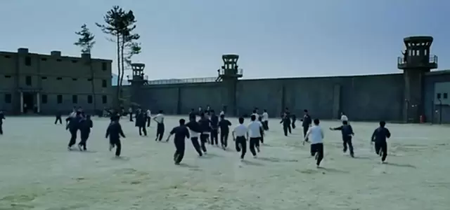 《撞墙几小时却等来致命意外》短片引爆社交平台讨论 _ 情报图